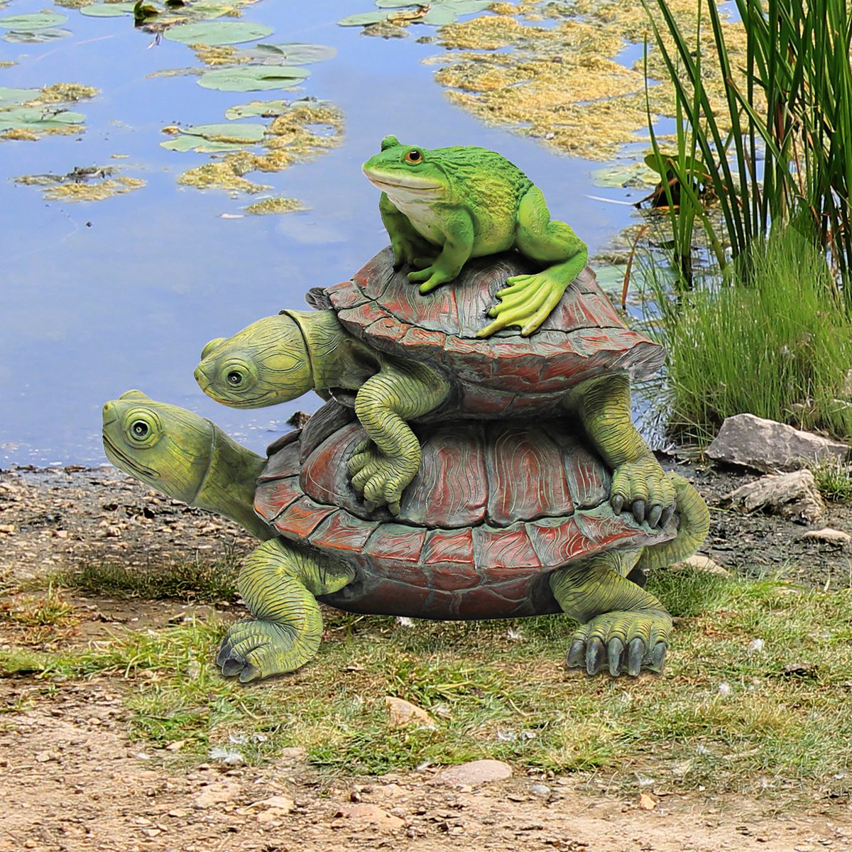 Image Thumbnail for Dt Two Turtles Stacked With Frog